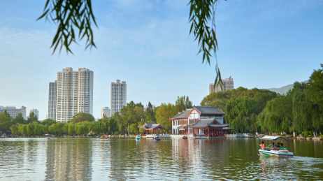 夏季青海省西宁市人民公园里的水面景色