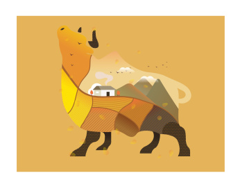 一只秋天田野里的牛