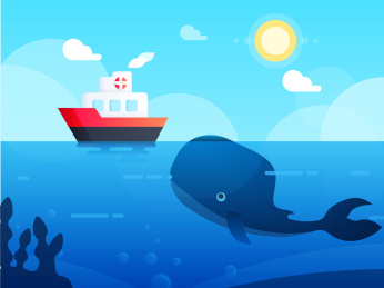 鲸鱼看到游轮浮到水面观察的情景