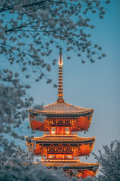 武汉东湖樱花园五重塔夜景