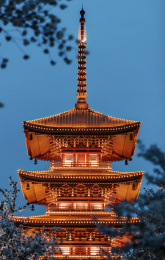 武汉东湖樱花园五重塔夜景