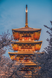 武汉东湖樱花园五重塔夜景