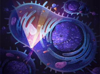 生命科学，探索微观细胞的世界