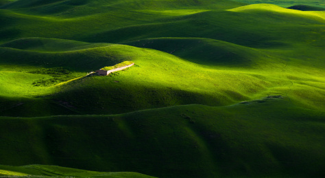 中国新疆伊犁喀拉峻草原春季风光