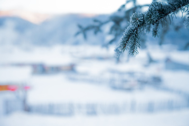 黑龙江省旅游胜地双峰林场雪乡