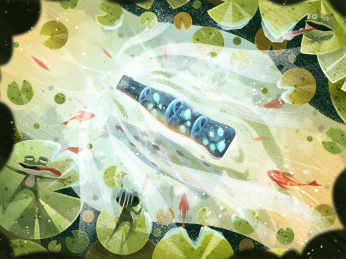 夏日里给荷塘带来清凉的瓶子