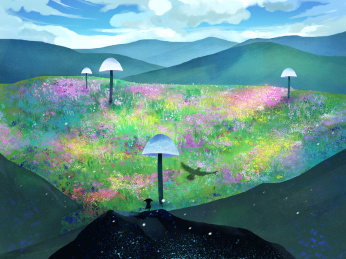 山脉之中的梦中花园有五颜六色的鲜花和蘑菇