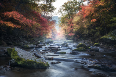 本溪秋季枫林流水老边沟