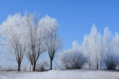 冬天中国吉林省吉林市松花江畔的雾凇