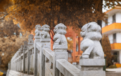 中国湖北武汉宝通禅寺石狮