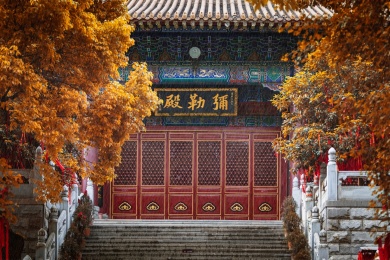 中国湖北武汉宝通禅寺风景