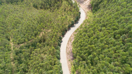 广东江门台山狮山林场航拍