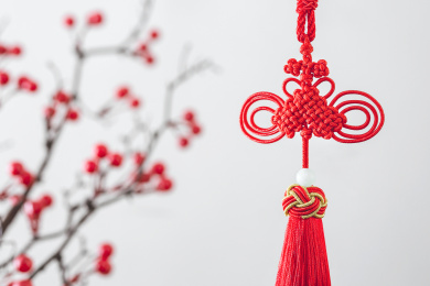 一个红色的中国结挂在树枝前