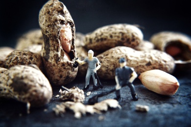 食物蔬菜食材花生和工人玩具模型的创意微距造型