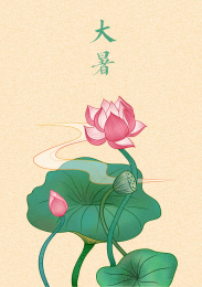 二十四节气插画手绘设计大暑