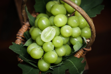 复古风格的放在竹篮里的阳光玫瑰葡萄