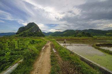 中国云浮市罗定县田园灌水自然风光
