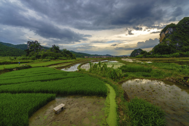 中国云浮市罗定县田园灌水自然风光