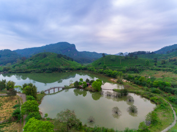 中国福建南平武夷山茶山