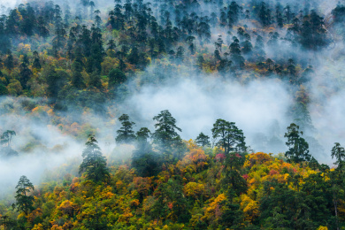 中国西藏山南错那县勒布沟