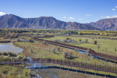 中国西藏日喀则的山脉湿地草原风光