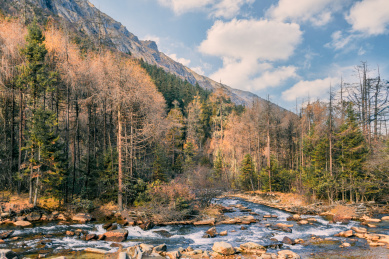 蓝天白云下的四川西部毕棚沟彩林景观