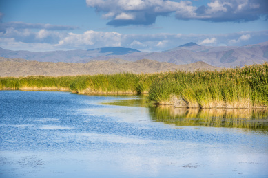 中国新疆阿勒泰富蕴县可可苏里景区