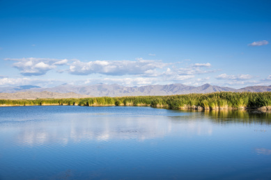 中国新疆阿勒泰富蕴县可可苏里景区