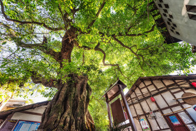 四川南充嘉陵第一桑梓周子古镇风光