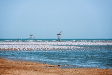 中国河北省秦皇岛市北戴河自然风光