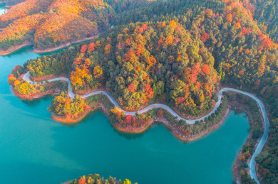 航拍千岛湖国家森林公园的环山公路