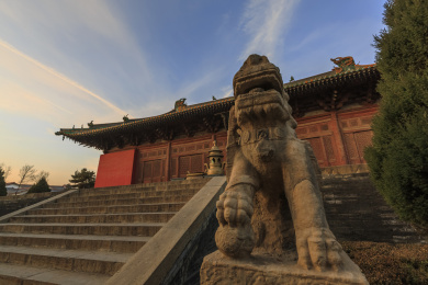 中国山西朔州崇福寺弥陀殿前之雄狮