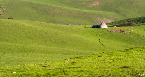 中国新疆伊犁那拉提大草原自然风光