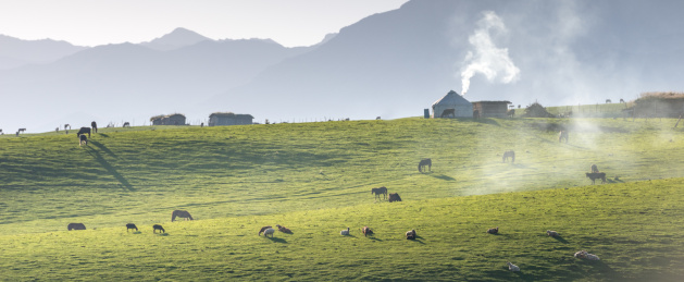 中国新疆伊犁那拉提大草原自然风光