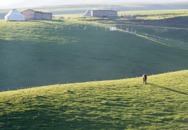 中国新疆伊犁那拉提大草原自然风光