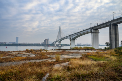 中国广东省江门市连接中山市的高铁桥梁和江边枯黄的野草