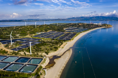 中国广东省汕尾市红海湾施公寮风车岛水产养殖场