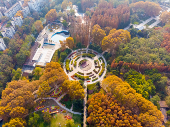 湖北武汉解放公园景区深秋航拍风光