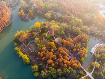 湖北武汉解放公园景区深秋航拍风光