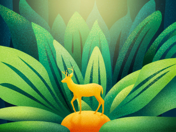 一只鹿在春分时节出来漫步跳跃寻找食物和爱情