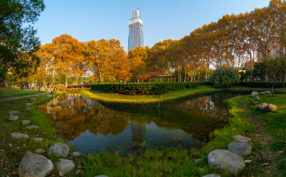 湖北武汉解放公园景区深秋风光