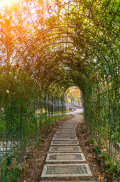 湖北武汉解放公园景区深秋风光