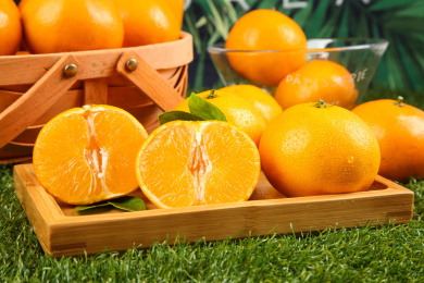 绿色草地上放着一盘新鲜果冻橙 