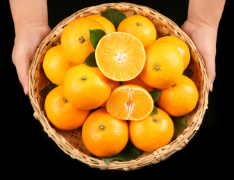 双手捧着一筐新鲜爱媛果冻橙 