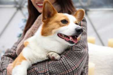 一只柯基宠物小狗被主人抱在怀里