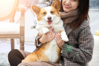 一名美女抱着一只柯基宠物小狗玩耍