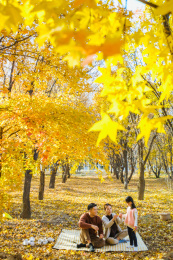 一家三口坐在秋天的树林里