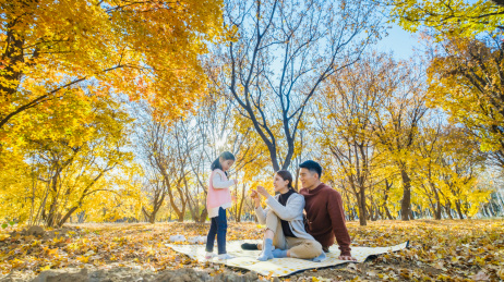 一家三口坐在秋天的树林里