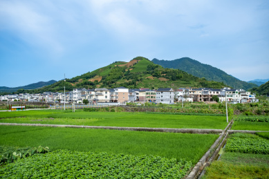 杭州千岛湖景观