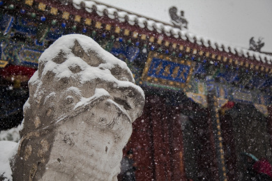 陕西西安大慈恩寺雪